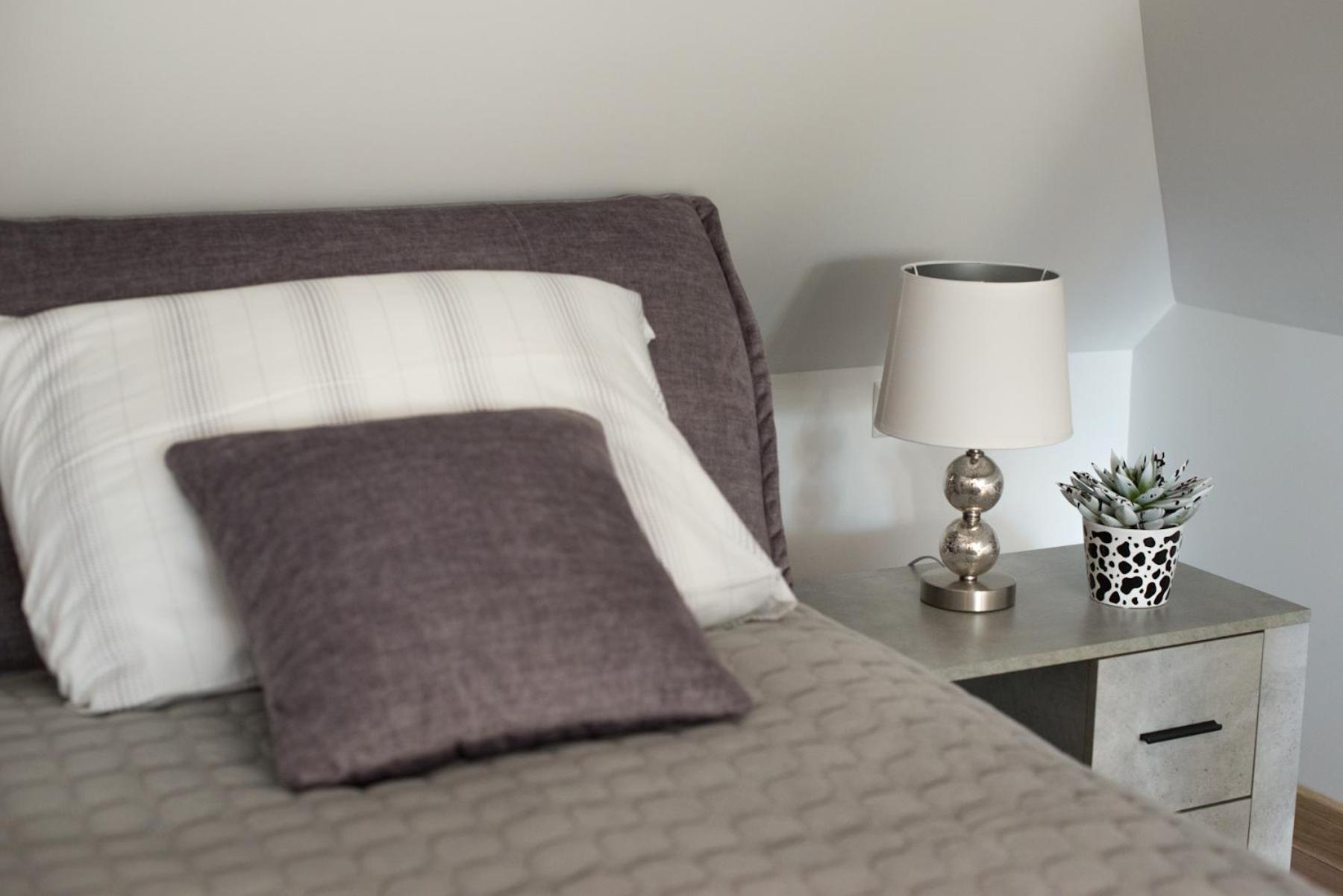 Petro Delux Apartments Каунас Екстер'єр фото